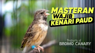 Download lagu Blackthroat Finch Gacor Clear Sound Effective for Canary Training mp3 Download lagu Blackthroat Finch Gacor Clear Sound Effective for Canary Training mp3