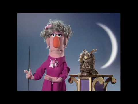 Muppet Songs: Zelda Rose & Her Singing Owl - Who?