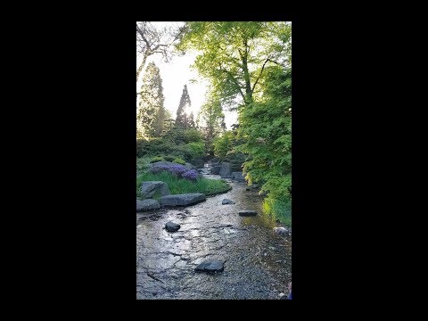 Ein Impuls zu Offenbarung 22 Der Trohn Gottes / Bruder Roma