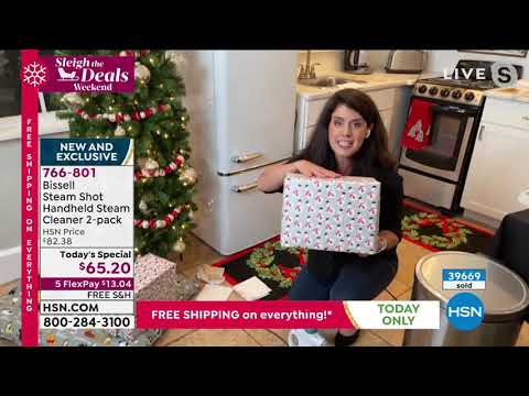 Bissell Steam Shot Handheld Steam Cleaner 2pack