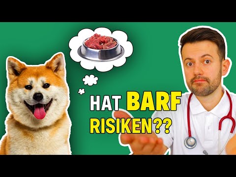 Ist BARF das beste für deinen Hund? (Tierarzt klärt auf)