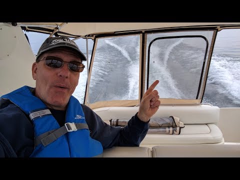 First Cruise With Boogaboo! Sea Ray 330 Sundancer Boat