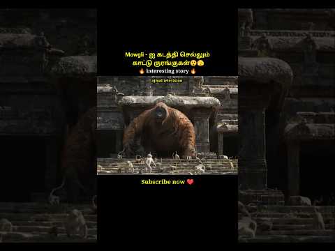 A bear and a black panther save the boy from monkeys#shorts #short