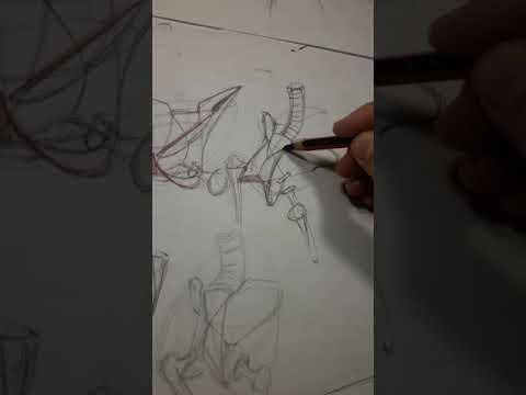 Pelvis. Síntesis lineal.