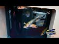 You'll NEVER Have To Look For Bait Again | Florida Insider Fishing Report S16E4 You'll NEVER Have To Look For Bait Again | Florida Insider Fishing Report S16E4