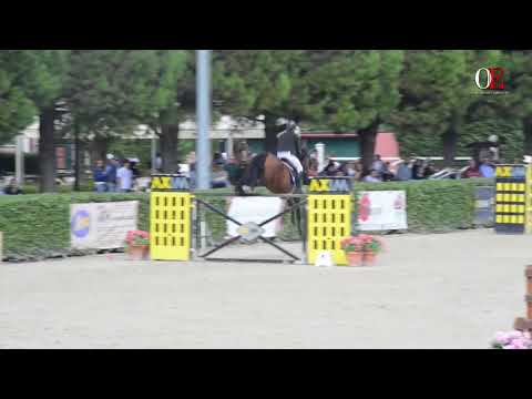 OE TV 1. Massimo Regina with Indigo | h 1.45 GP 17.9.17