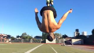 faze tari unu musculos