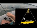 Video Thumbnail for Eagle Eye 9-ing Walleye