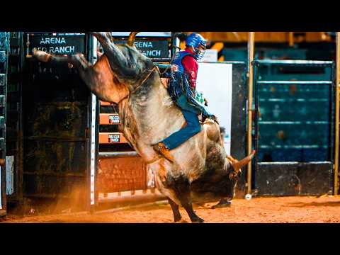 Rodeio de Tapejara 2026 / Melhores montarias e campeões em Touro e Cutiano 