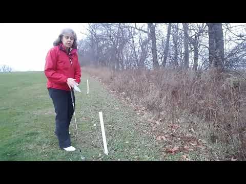 Simplifying the rules of Golf (Can we remove Out of Bounds Stakes) (Rule in Decsription below)
