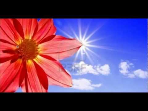 Attaché à la Croix Pour Moi (Dan Luiten)