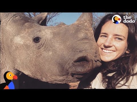 超暖心！美女當犀牛寶寶的媽媽 (Girl Is Mom to Baby Rhinos | The Dodo)