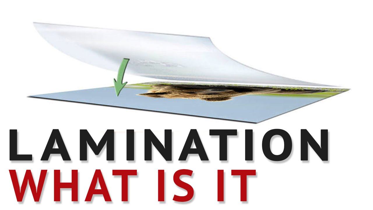 How much does it cost to get into the Memphis Zoo? Tipseri