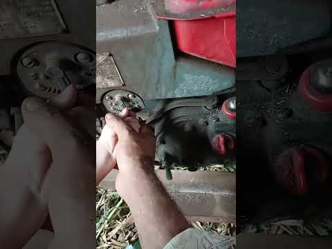 #riograndedosul #roça #lida #filhos #bênçãos #alegria