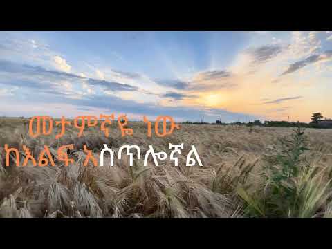 Hayal aderekegn/Aster Abebe