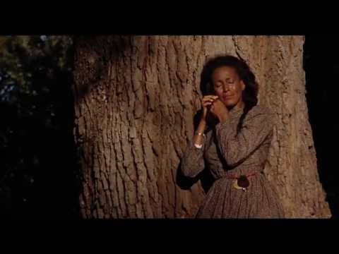 Daughters of the Dust (2K Restoration) | Official US Trailer