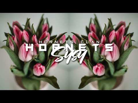 SYSY x ED SHEERAN - SHIVERS (HORNETS REMIX) 2022