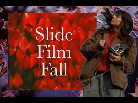 The Most Cliche Way to Shoot Autumn (And Why I Love It)