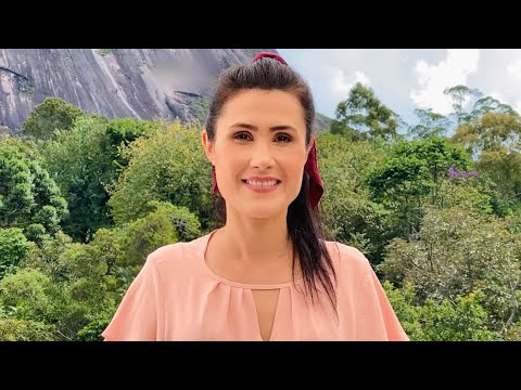 1398 Sobre a Rocha | Lâmpada Acesa | Melissa Barcelos