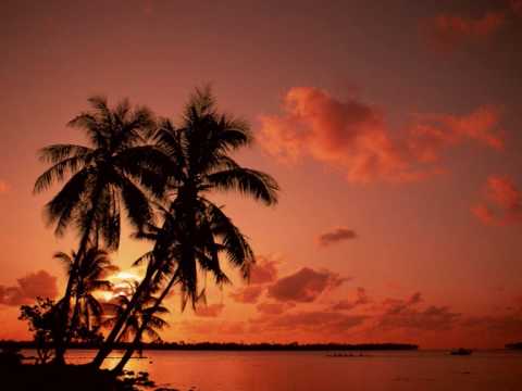 The Syndicate pres. Sonic Palms - On The Beach