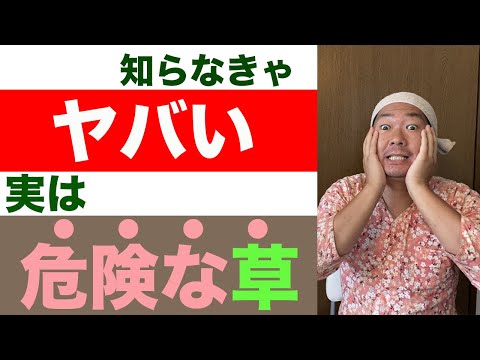 園芸 狩猟とあなたの庭