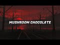 Quin and 6Lack - Mushroom Chocolate (Lyrics)