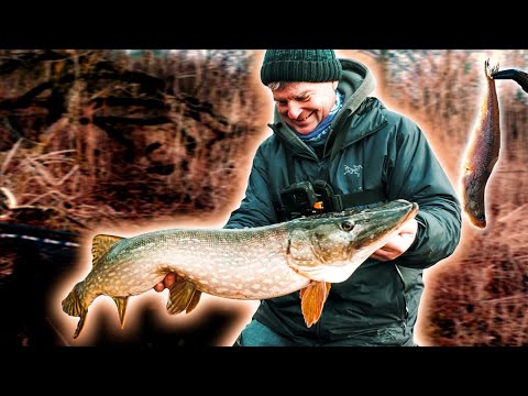 Pike fishing with dead baitfish - I haven't fished like that in 40 years!