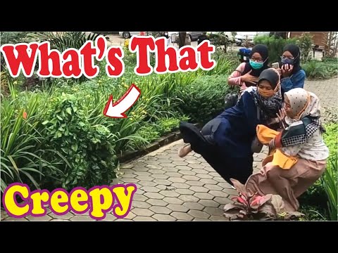 just-for-laugh-bushman-prank