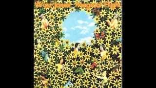 Wizz Jones - Magical Flight