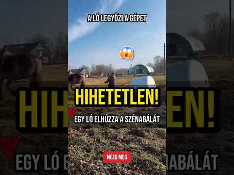 Miért jobb a ló a gépnél? A válasz meglepő 🚜 #shorts
