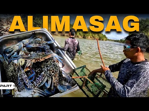 P1-ALIMASAG O BLUE CRABS - EP1257