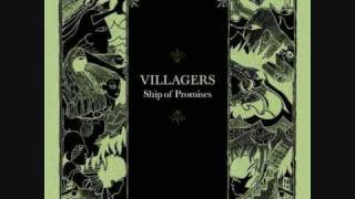 Villagers - Set The Tigers Free