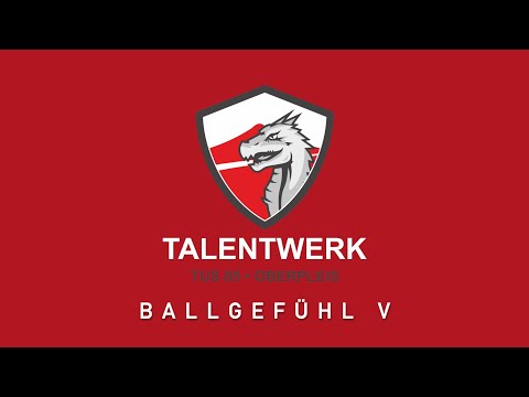 Technikübungen für Zuhause – Ballgefühl  5