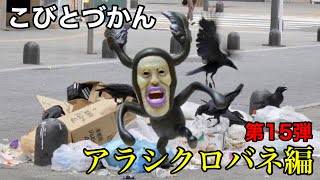 【こびとづかん】アラシクロバネを捕獲しよう