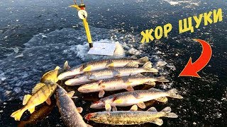 Рыбалка в твери на жерлицы