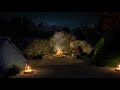 Campfire Ambience With Owls Crickets Night Forest Sounds Sleep 8 Hours