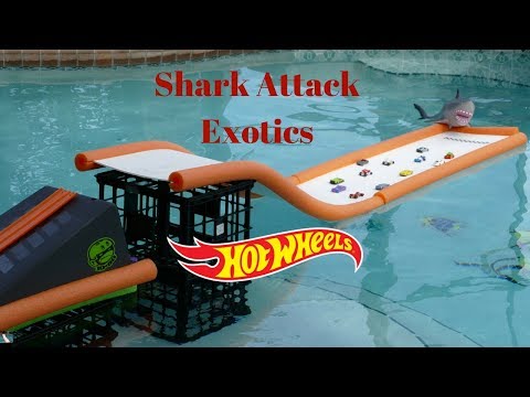 Hot Wheels exotics shark attack swimming pool tournament race