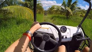 JAMAICANS BE CRAZY