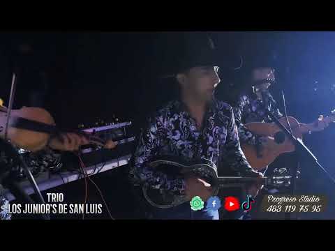 TRIO LOS JUNIOR'S DE SAN LUIS - VESTIDA DE BESOS , LOCO POR TI.