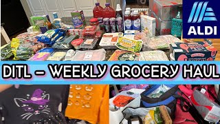 DITL | ALDI Grocery Haul + Kohls  Shop With Me