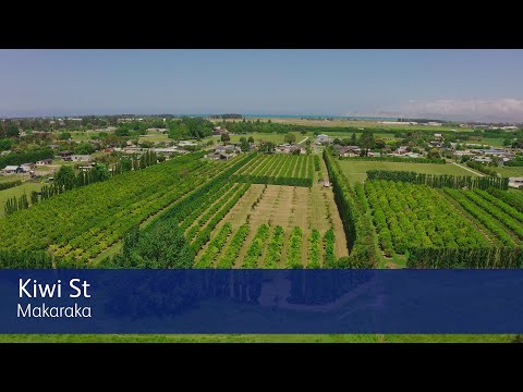 - Kiwi Street, Makaraka, 0房, 0浴, 乡村住宅建地