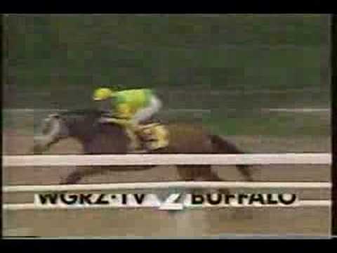 Serena's Song Beldame Stakes 1995 + overview