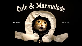 Cole & Marmalade… 12 Years of Pawsomeness!