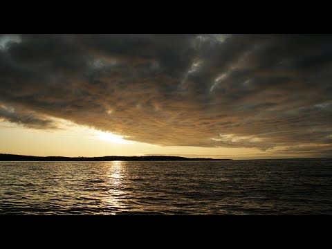 Northern Flamenco - Arseniy Lapin