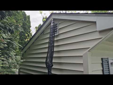 Carpenter Bees Boring Into the Shed in...