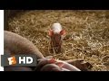 Charlotte S Web 1 10 Movie CLIP Fern Saves Wilbur 2006 HD
