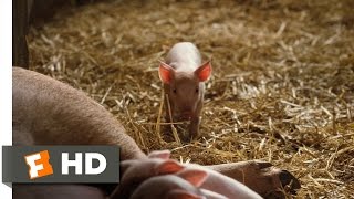 Charlotte&#39;s Web (1/10) Movie CLIP - Fern Saves Wilbur (2006) HD