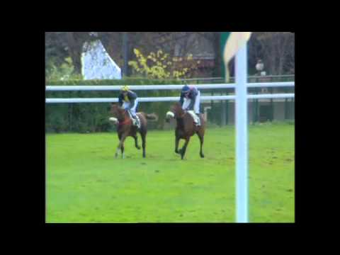 Cyrlight Race " Prix Renaud Du Vivier " Gr 1 Auteuil - 14/11/2004
