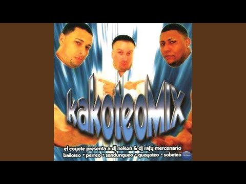Perreo Perreo 2003 Mix - Dj Nelson Y Dj Rafi