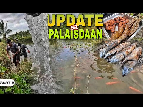 P2-UPDATE SA PALAISDAAN - EP1164